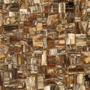 High Quality GEM Stone Slabs Supplier-GEM-403 Petrified Wood